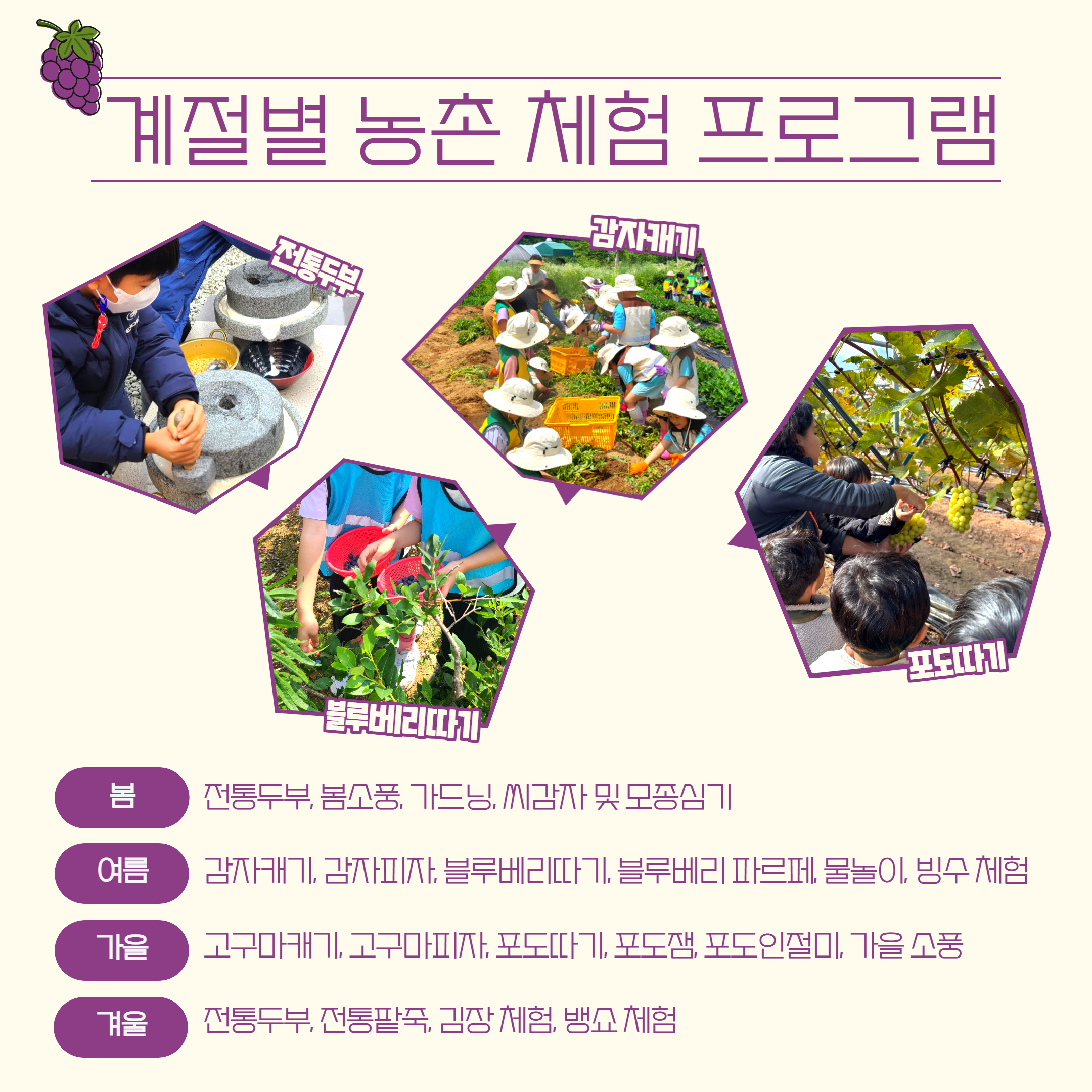 이달의_사회적경제_상품·서비스_8월_쌍류포도정원협동조합_-_2.jpg